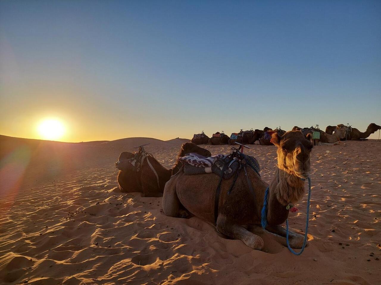 Desert Experience Glamping Merzouga Εξωτερικό φωτογραφία